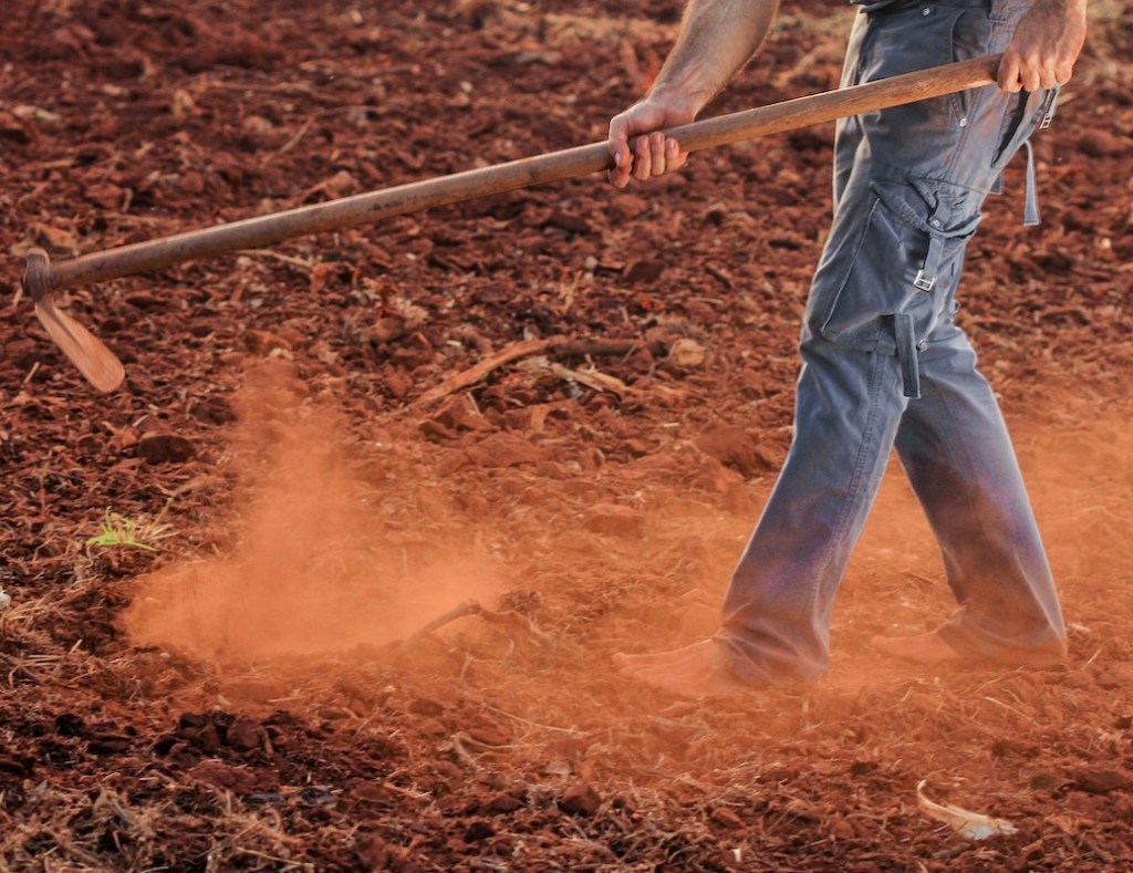 The Parable of the&nbsp;Sower